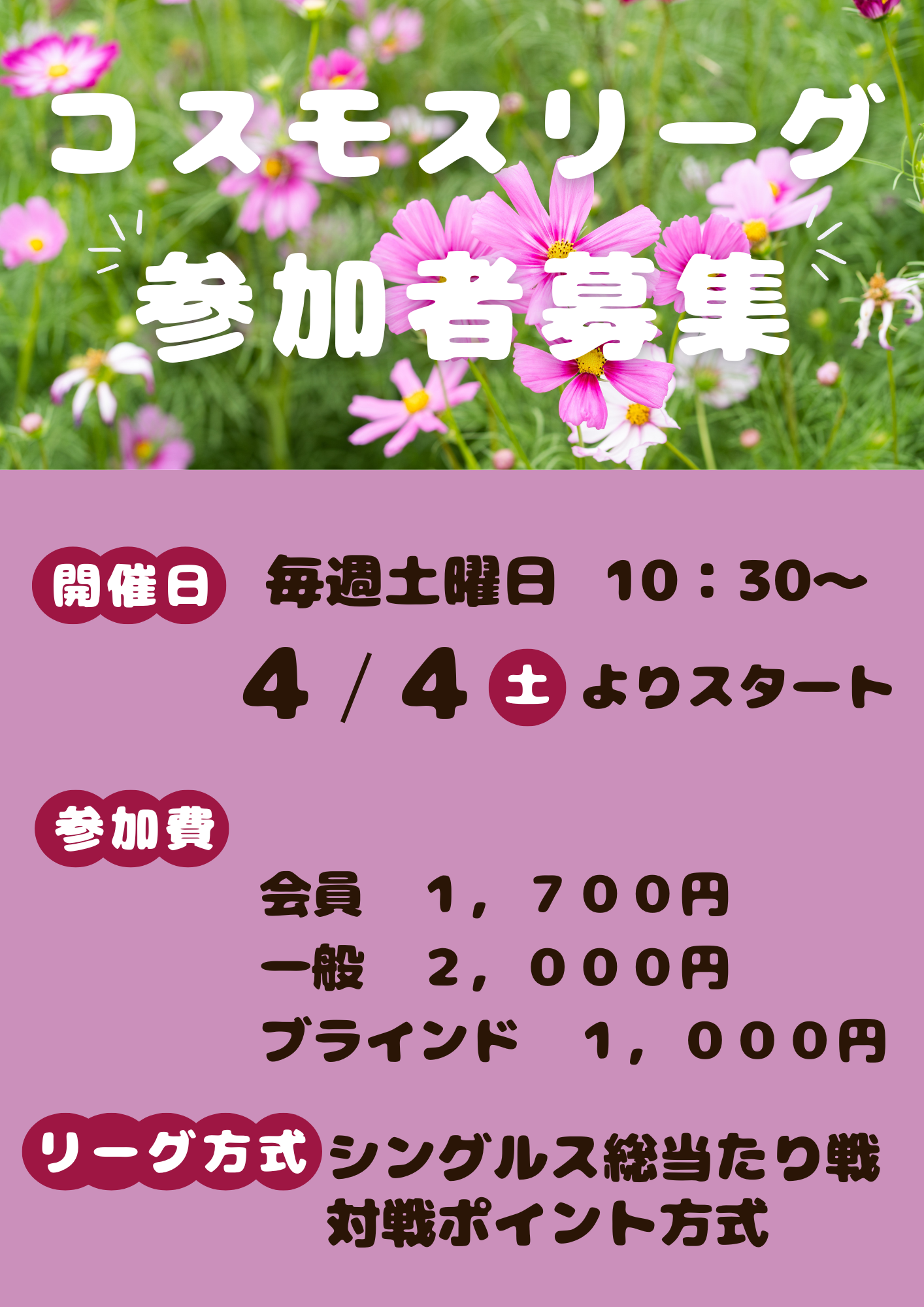 コスモスリーグ